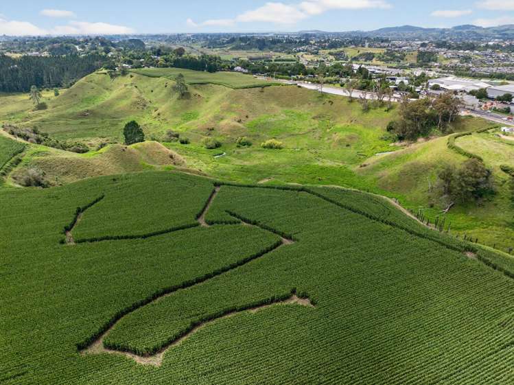 764 SH 29 Ferncliffe Farm Tauriko_15