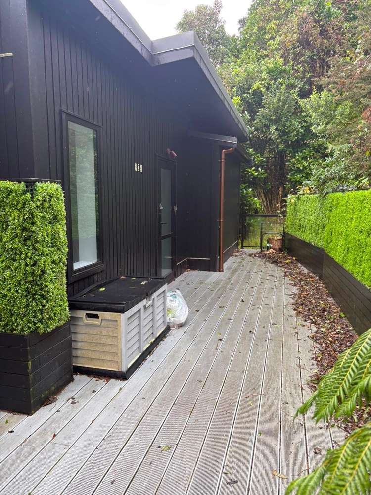 93 Rakau Road_2