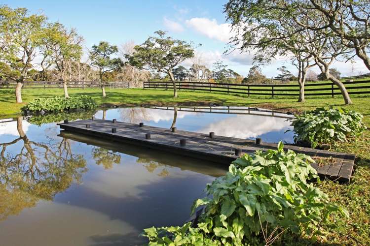 102 Kidd Road Karaka_17