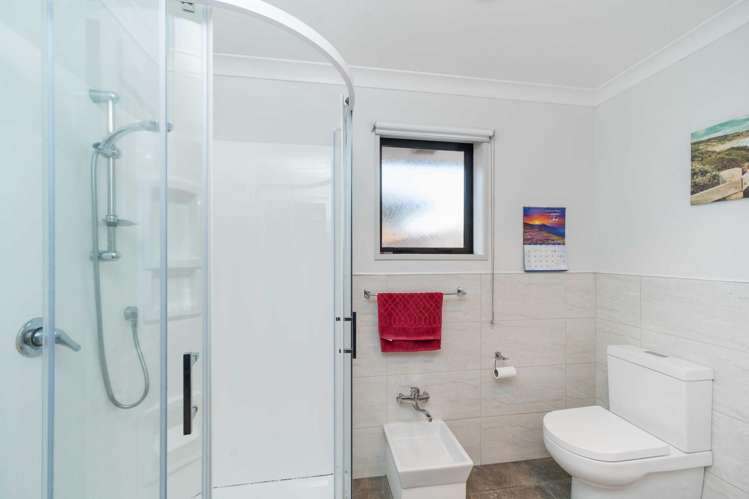 3 Astelia Court Milson_16