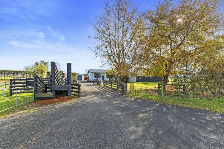 385 Whakahoro Road Springdale_21