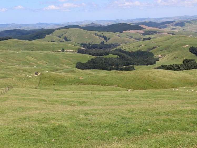 858 Oporae Road Weber_0