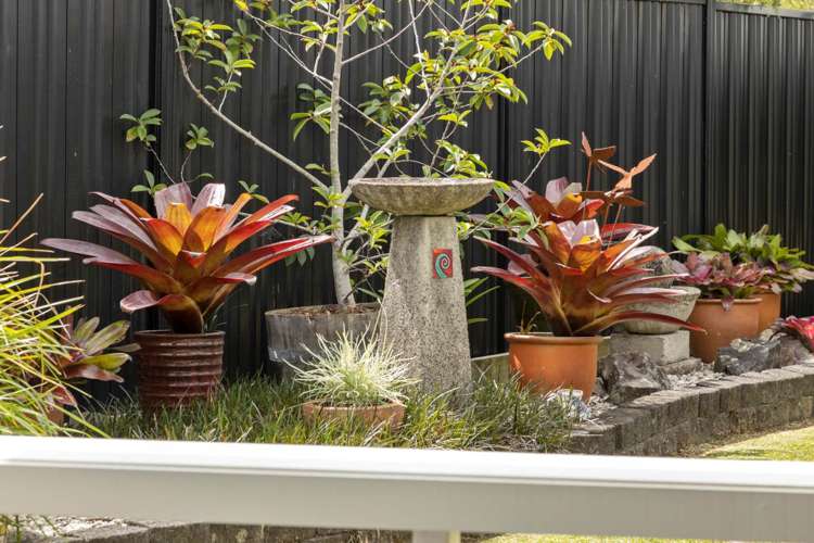 2/24b Arahoe Road New Lynn_11