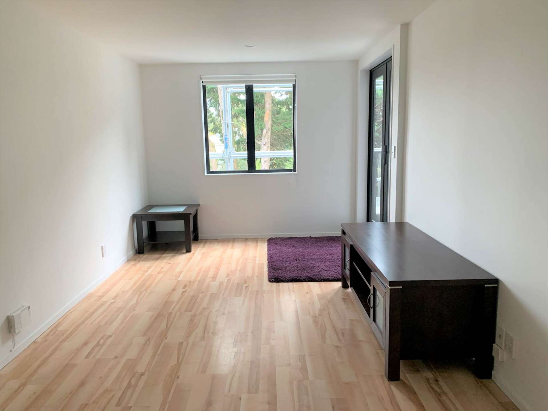 4D/250 Richmond Road Grey Lynn_0