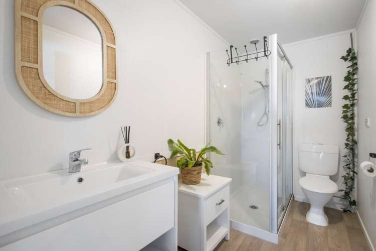 349A Whakamarama Road Whakamarama_6