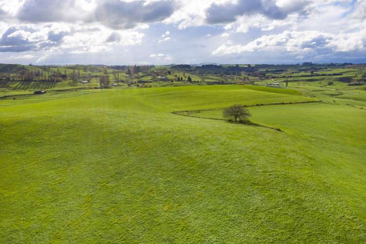 Piakonui Road Richmond Downs_24