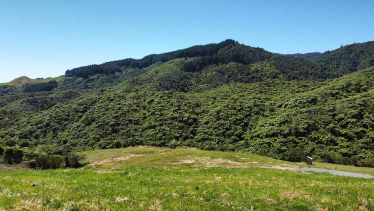 141 Kaitawa Road Hautere_9