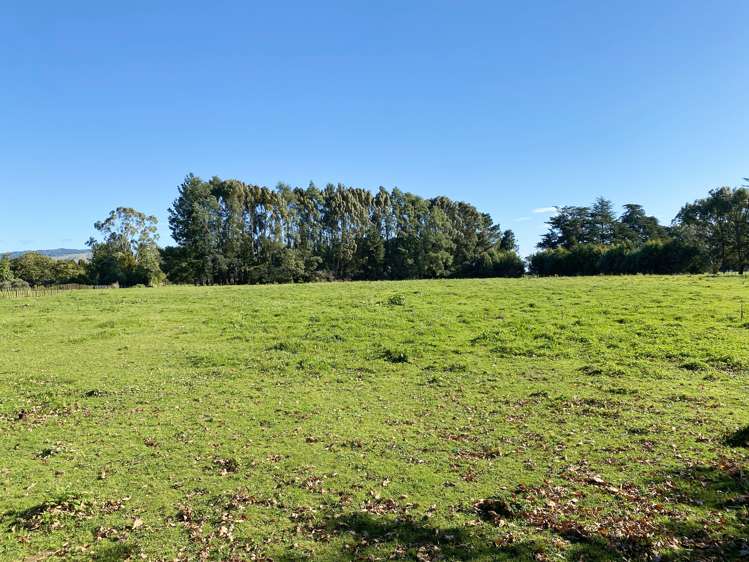 258a Gladstone Road Levin_11