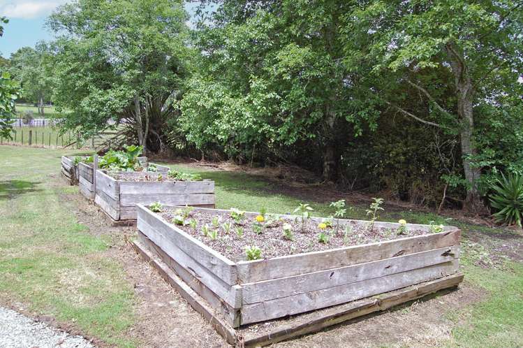 1163 State Highway 1 Topuni_13