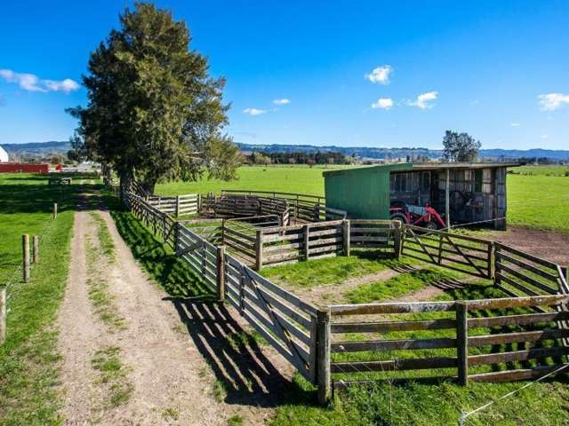 157a Hallett Road Otakiri_1