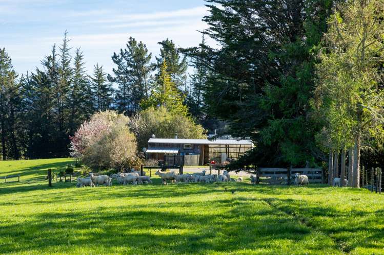 240 George Harvey Road Upper Moutere_36