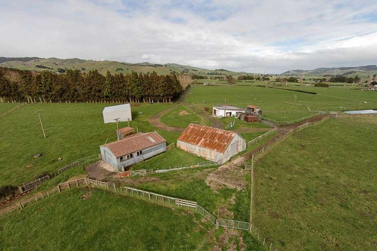 659 Taniwha Road Waerenga_19