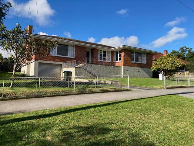 22 Donegal Street Avondale_1