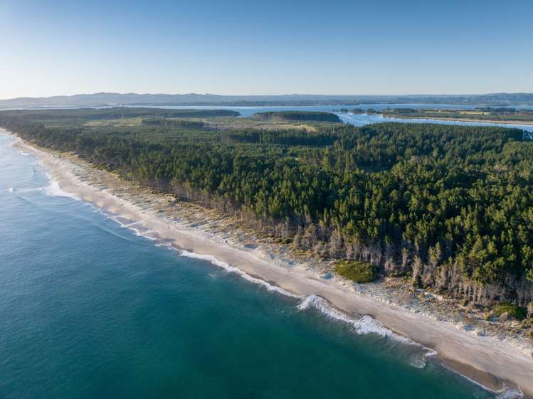 205 Matakana Island, 148 HA Matakana Island_11