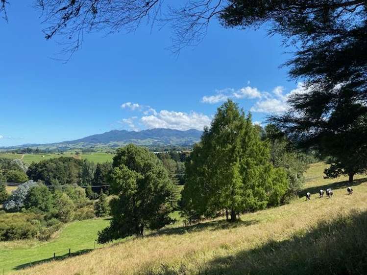 1266 Te Pahu Road Karamu_47