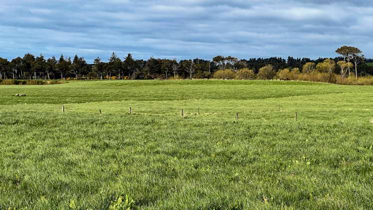 78 Channel Road Tussock Creek_10