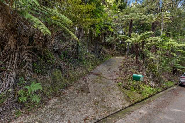 19 & 21 Paturoa Road Titirangi_1