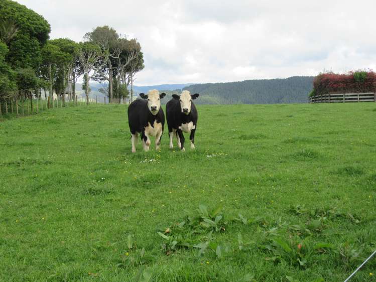 207 Takapu Road Manakau_16