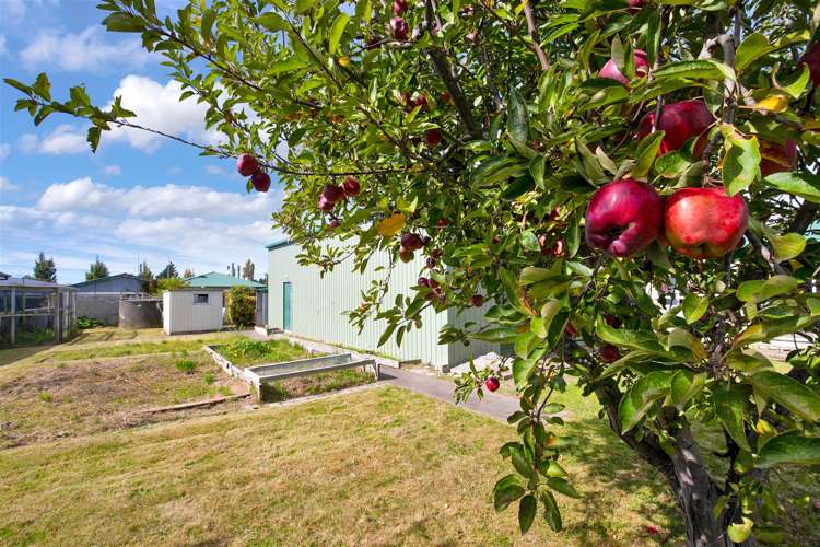 148 Carters Road Amberley_17