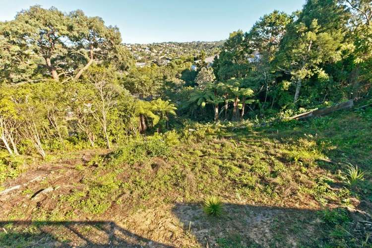 69 Arran Road Browns Bay_24