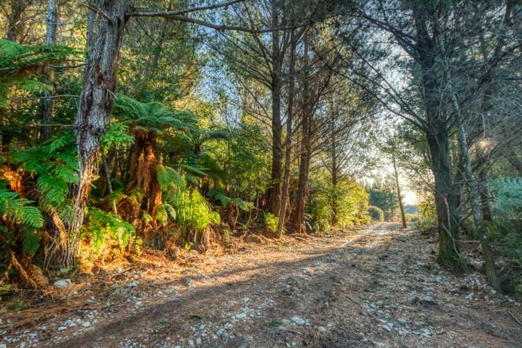 Haydens Road Marsden_20