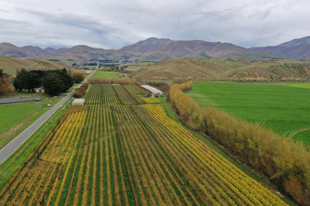 Otiake Road Kurow_1