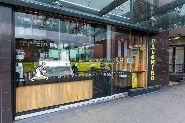 4/267 Cuba Street Te Aro_13