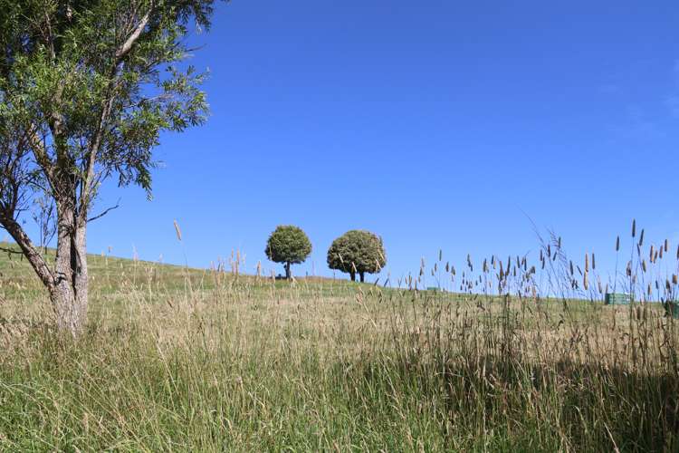 176 Morrison Road Arapohue_6