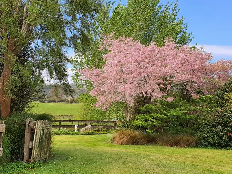 145 Kanohi Road Kaukapakapa_21