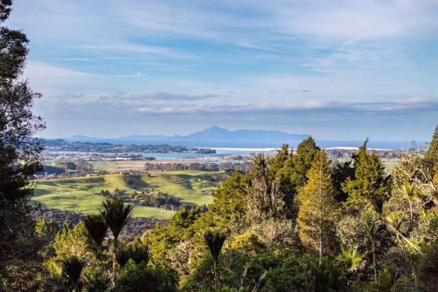Lot 2 Carters Road West Mangawhai_1