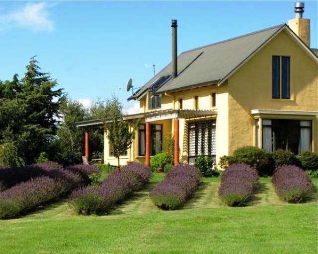 131 Dublin Street Martinborough_1