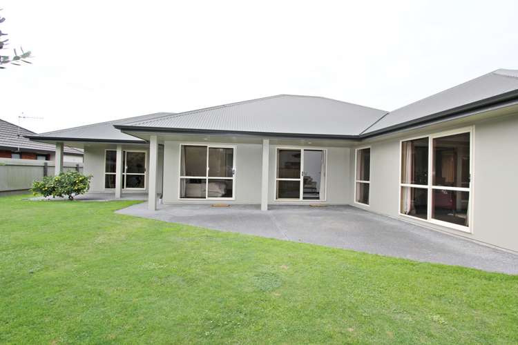 239 Guppy Road Taradale_10