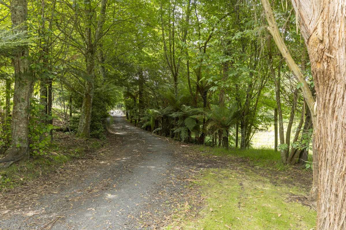 491 State Highway Five_5