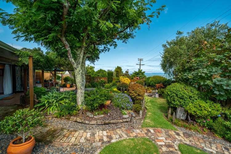 10 Springfield Avenue Ngarimu Bay_19