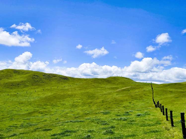 1090 Te Maire Road Dargaville_16