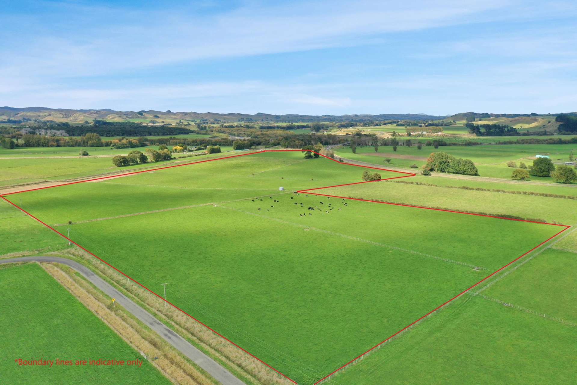 Bluff Road Woodville_0