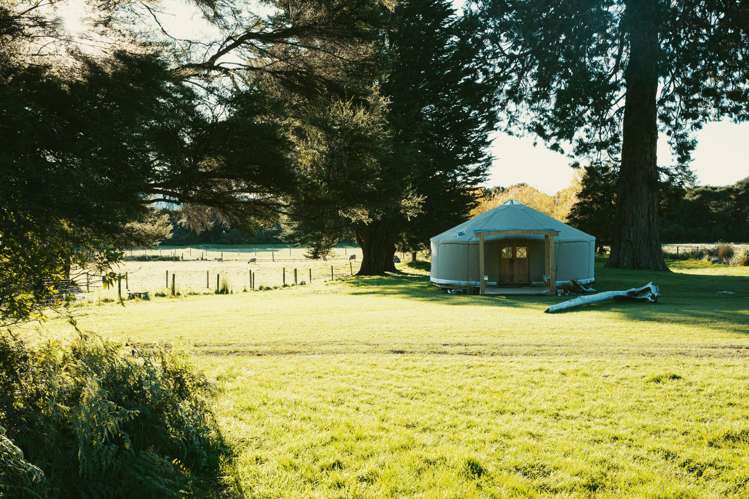 49 Awaroa Inlet Awaroa_12