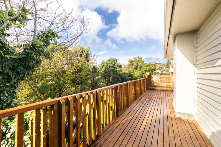 60 Rosendale Avenue Spotswood_5