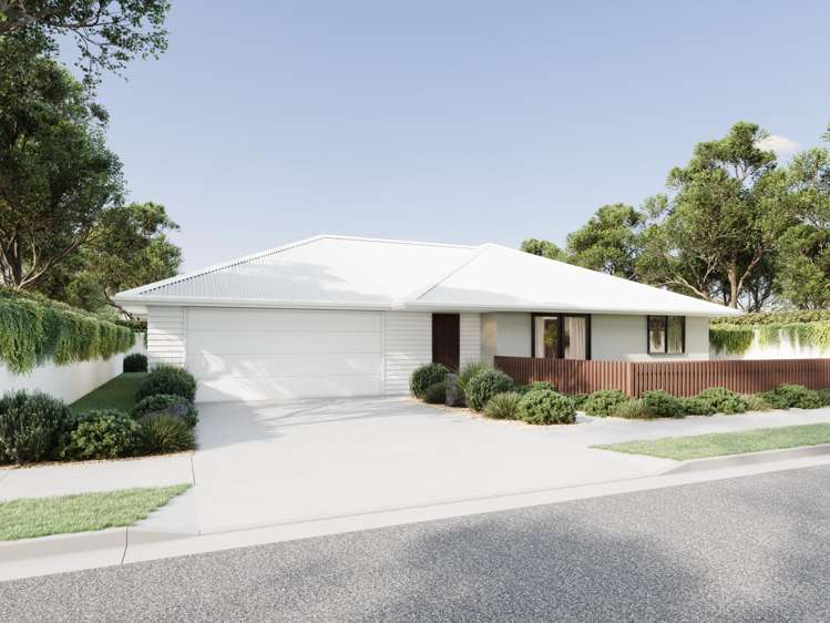 87 Hinau Street_3