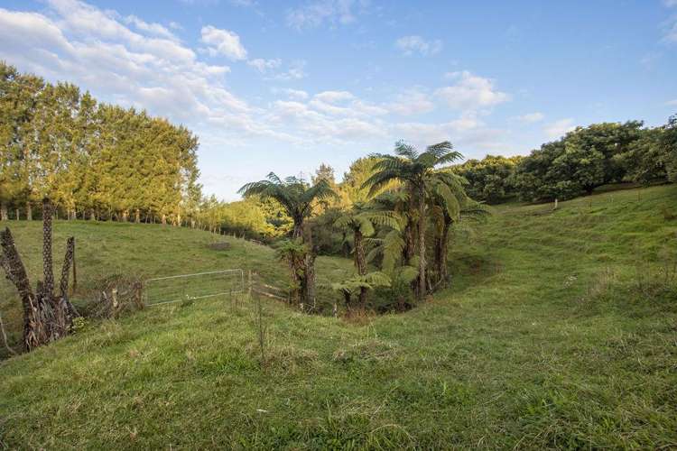 222 Wharawhara Road Katikati_5