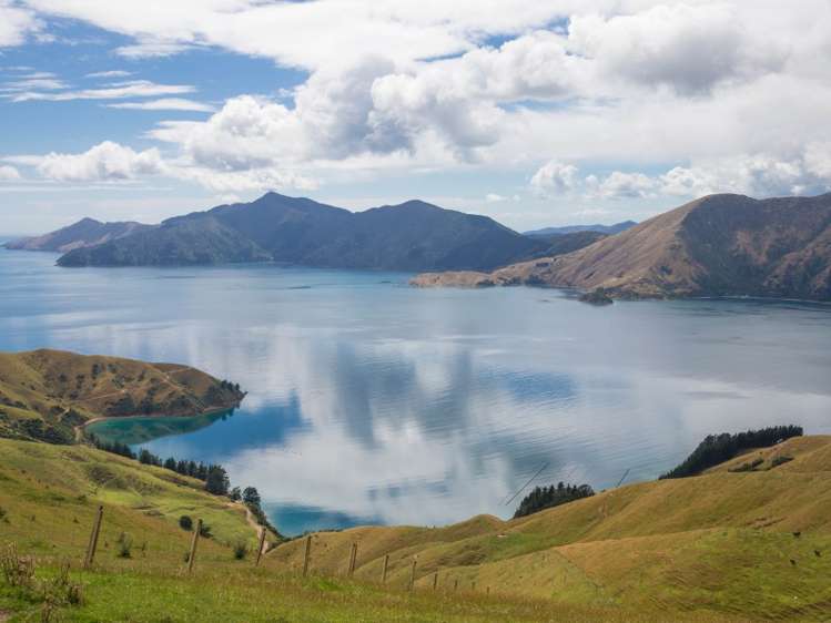 5193 Croisilles-French Pass Road Marlborough Sounds_9