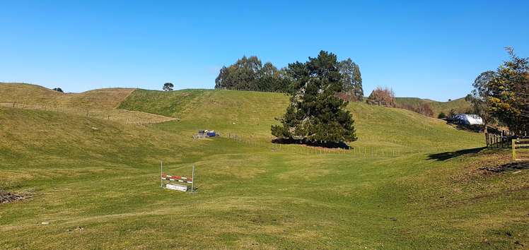 3/1171 Poihipi Road Oruanui_10