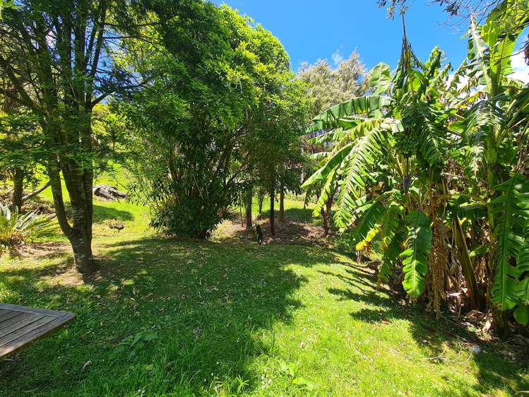 46 James Street Coromandel_8