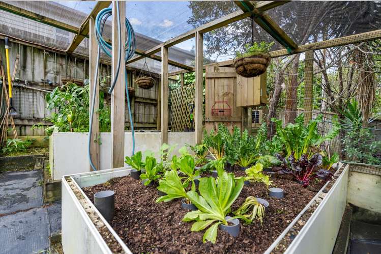 20 William Hadlow Place Hatfields Beach_30