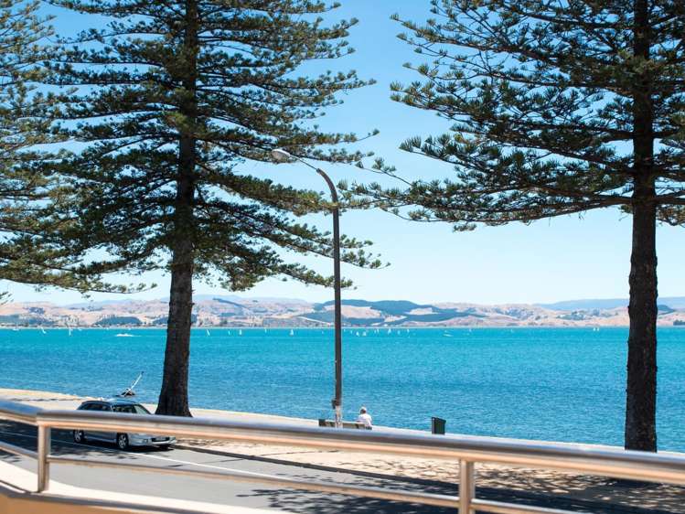 71 Hardinge Road Ahuriri_23