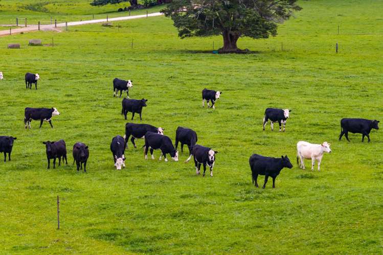 78 Bercich Road Maungakaramea_22