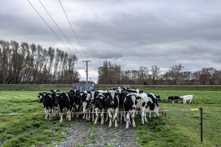 94 Tulls Road Waikuku_10