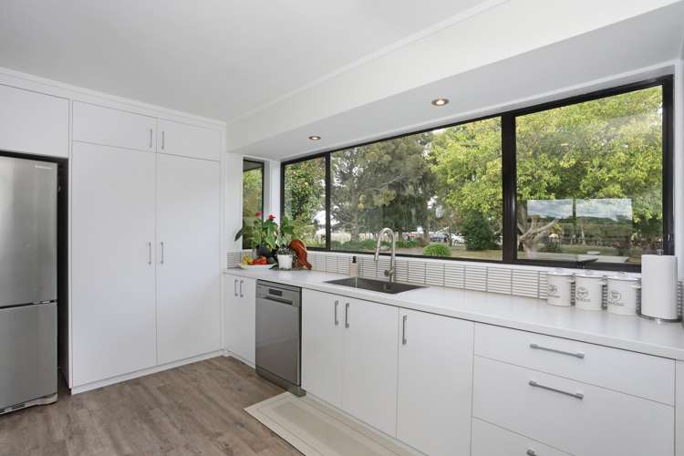 455b State Highway 1 Bulls_8