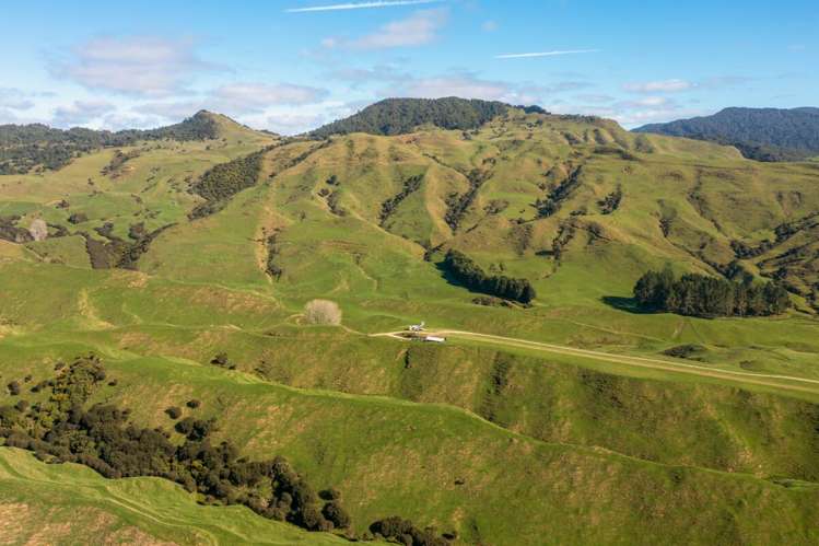 231 Leitch Road Piopio_1