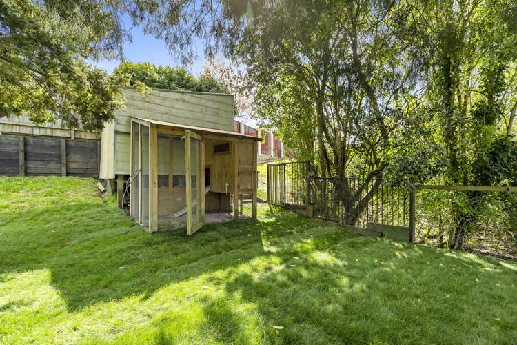 23 Seales Road Morrinsville_33